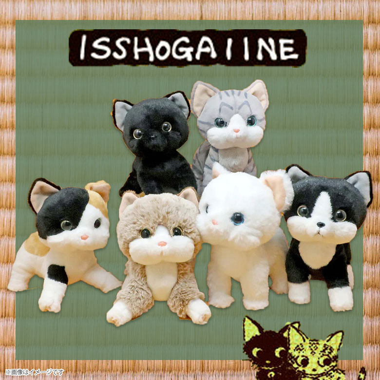 楽天市場】いっしょがいいね ぬいぐるみ【全6種】猫 シロ ミックス