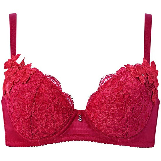 楽天市場】サルート 女優ブラ e65の通販