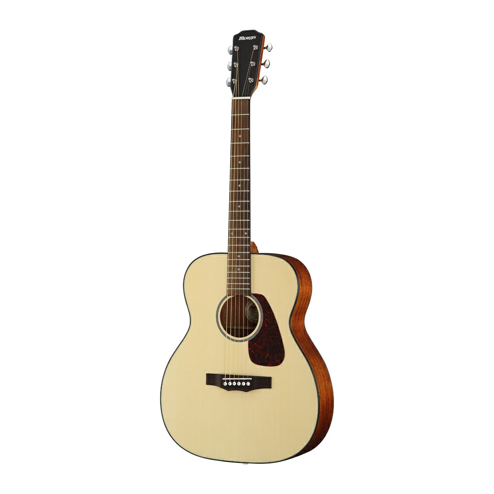 楽天市場】モーリス アコースティックギター morris m-351 natの通販