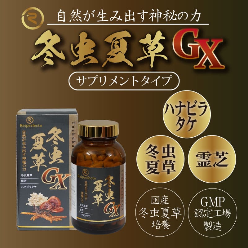 楽天市場】冬虫夏草GX（サプリメント） 約30日分 国内製造 ビタミンB群