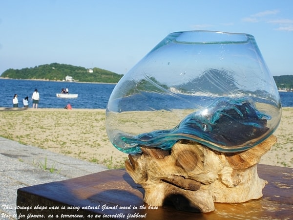 楽天市場】選べる 流木ガラスオブジェ XSP 花瓶 アクアリウム