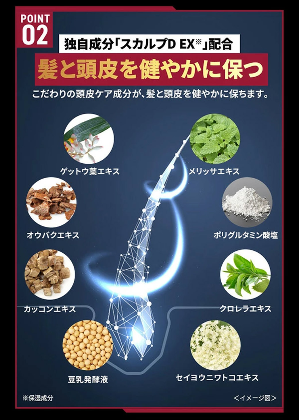 楽天市場】【ポイントアップ中】【返金保証】[医薬部外品]スカルプD