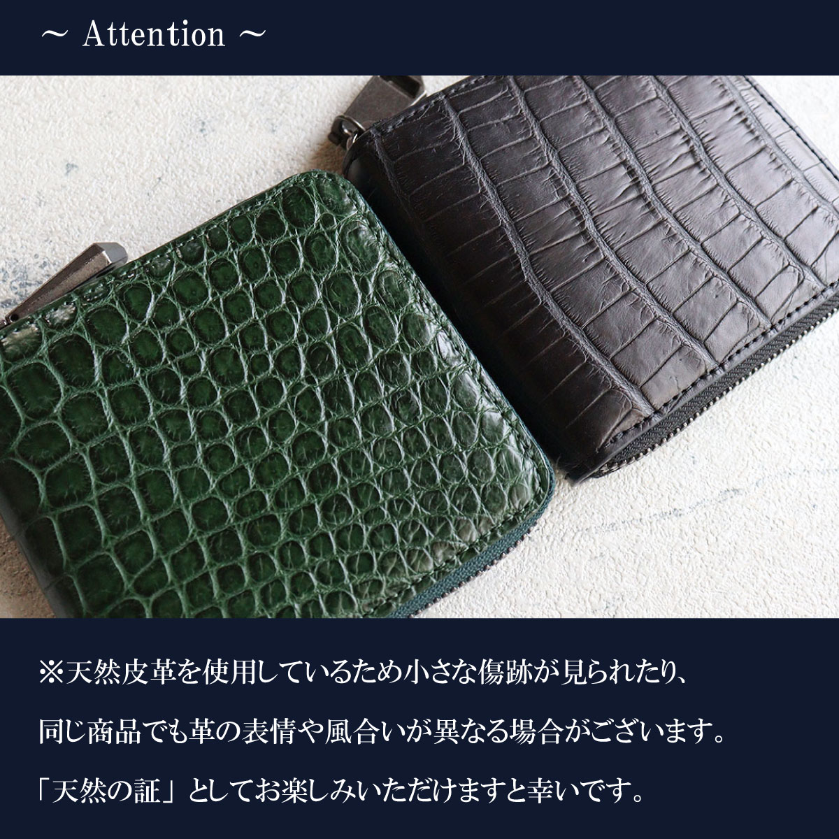 楽天市場】【雑誌掲載】スモールクロコダイル ポロサス革 ワニ 希少