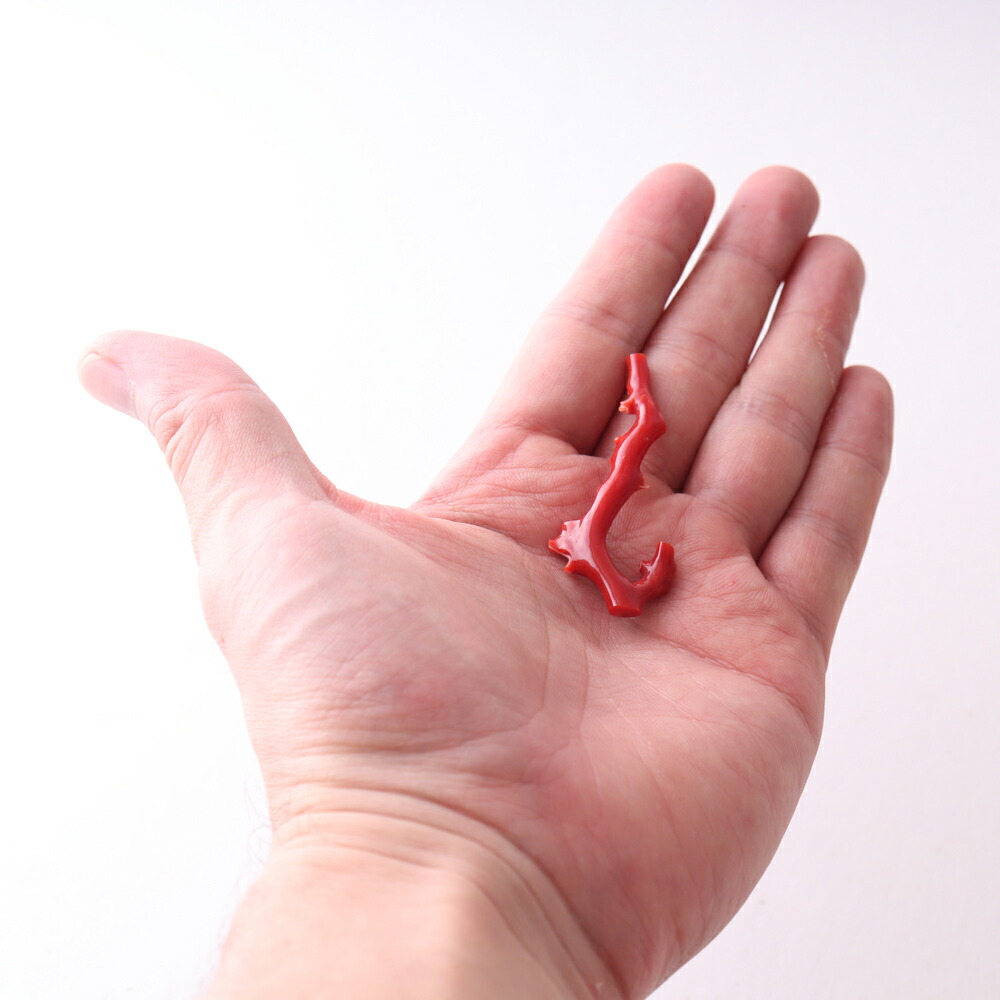 楽天市場】≪1年保証付き≫ 日本産血赤珊瑚＜枝＞ルース ペンダント