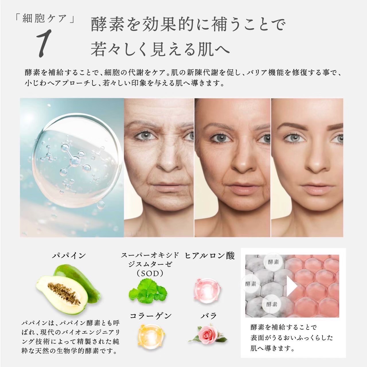 楽天市場】【スーパーSALE限定20%OFFクーポン】【セットで10%OFF