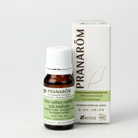 プラナロム 精油」の人気商品一覧 | 安い商品を通販サイトから探す