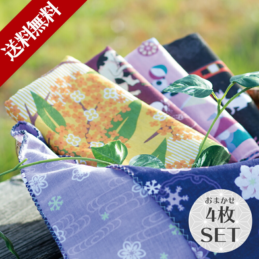 k20190828.jpg?fitin=720:720