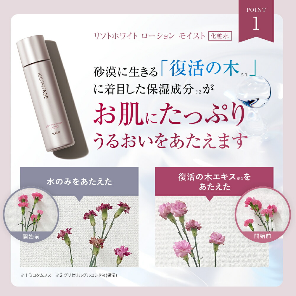 楽天市場】3/4 20時〜28H限定全品MAX20%OFFクーポン｜＜ECモール限定