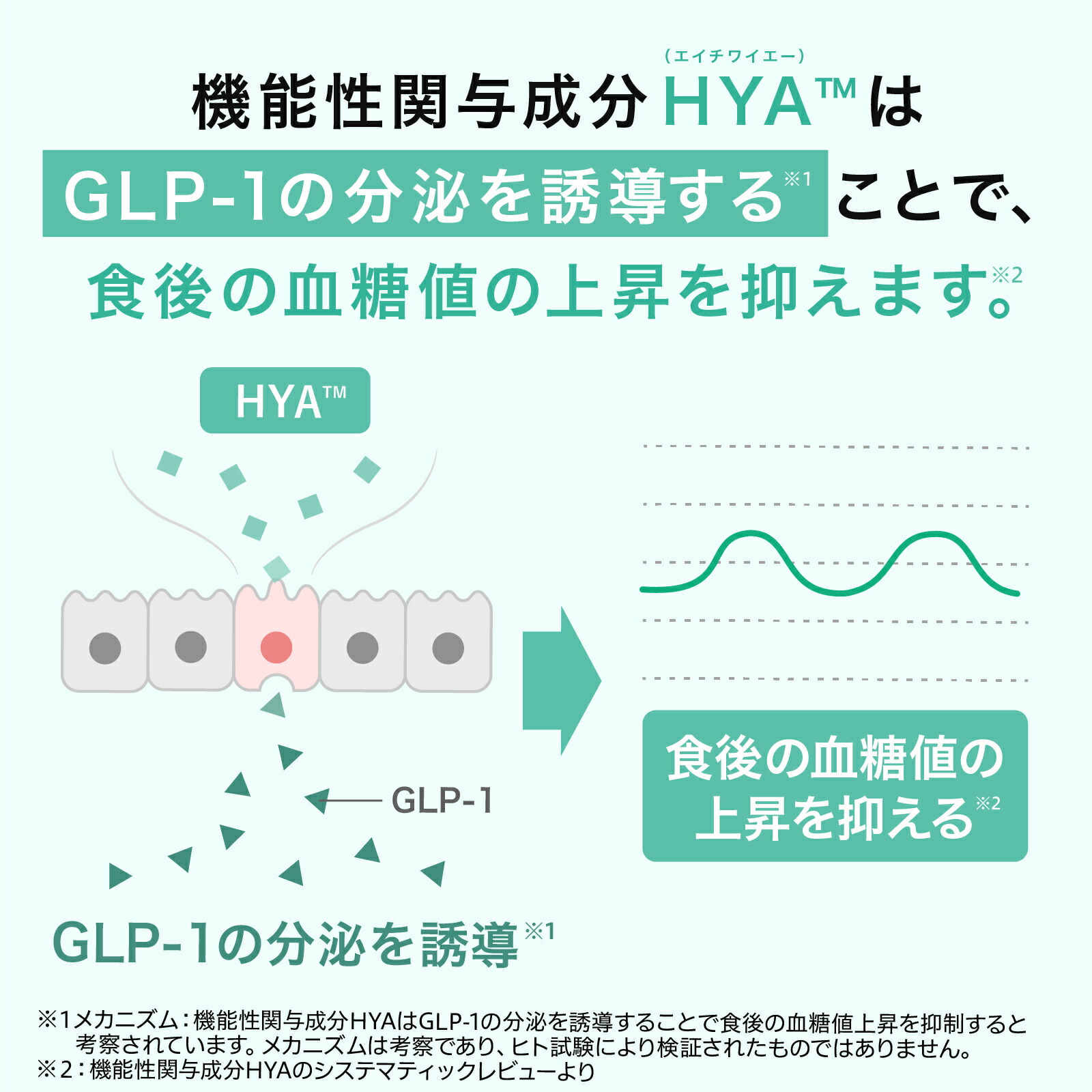 楽天市場】機能性表示食品 「HYA™-50F」【CUMEC キュメック公式】先進