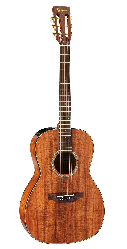 楽天市場】【送料無料】Takamine 《タカミネ》 PTU431K N