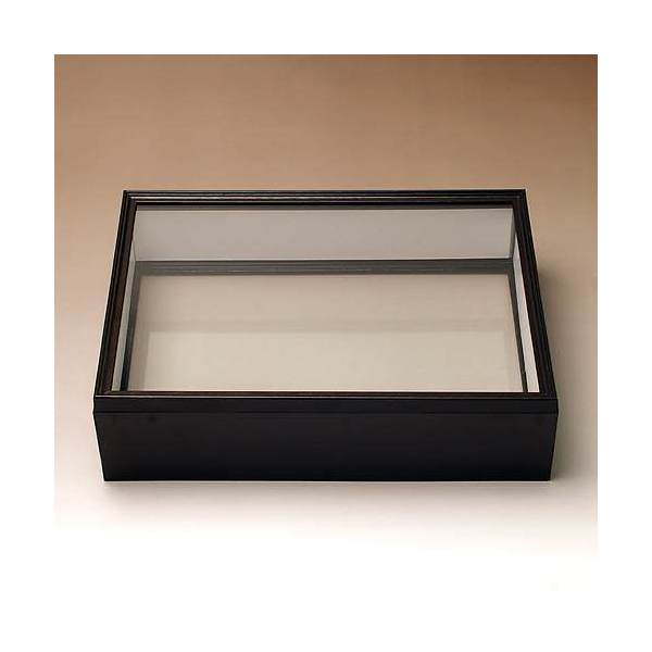 昆虫飼育用品 標本箱」の人気商品一覧 | 安い商品を通販サイトから探す