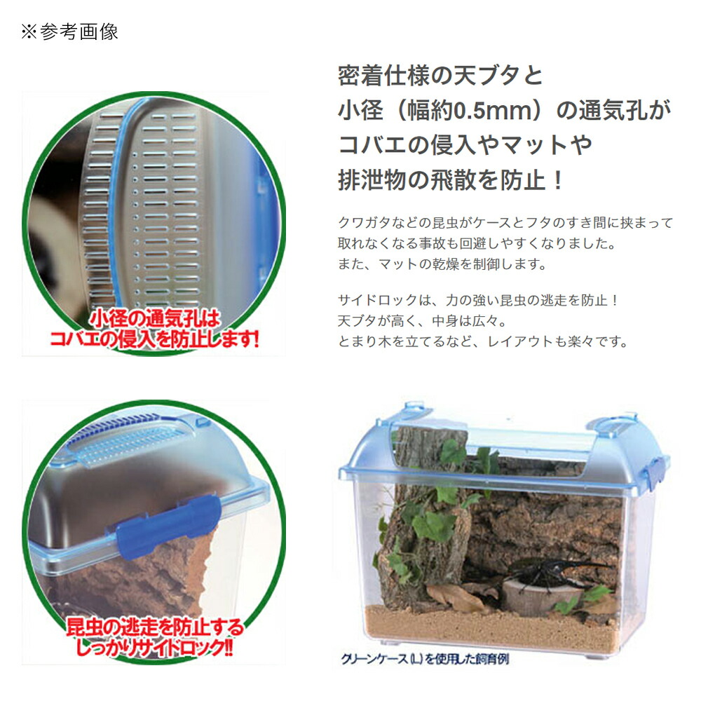 楽天市場】三晃商会 CLEAN CASE クリーンケース（L
