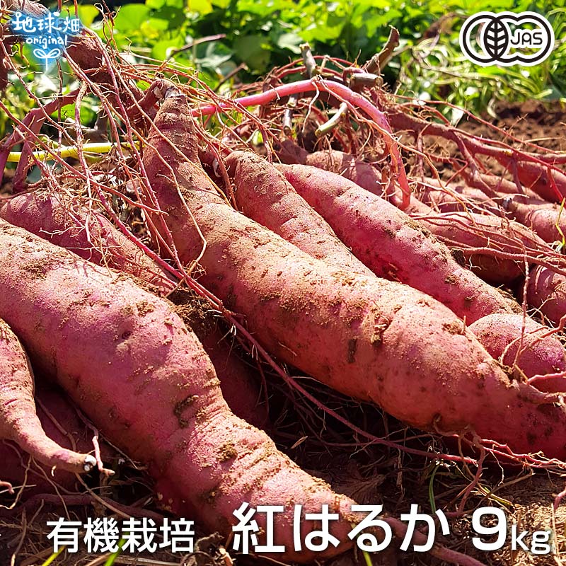 楽天市場】紅はるか 9kg 有機栽培 鹿児島県産 宮崎県産 1本100〜500g