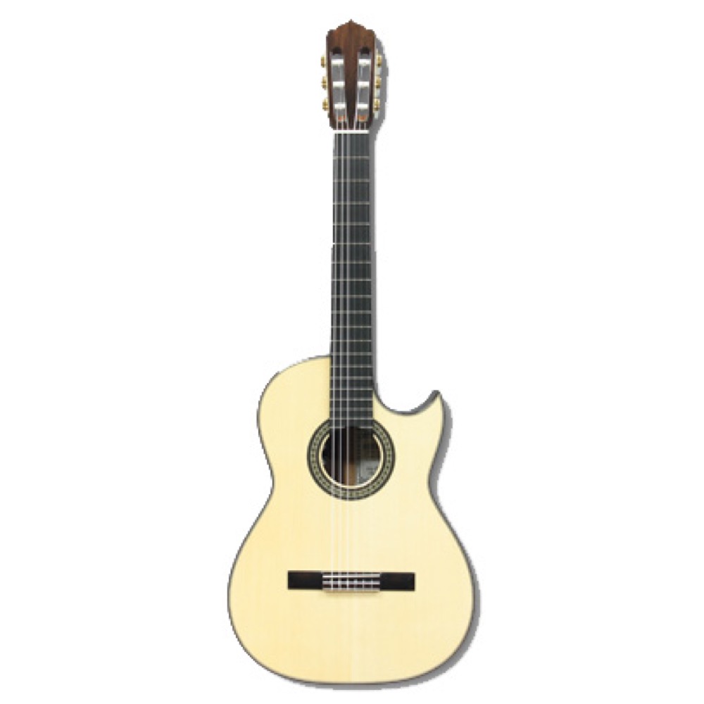 楽天市場】ASTURIAS SOLO CLASSICO PREMIO S エレガットギター : chuya