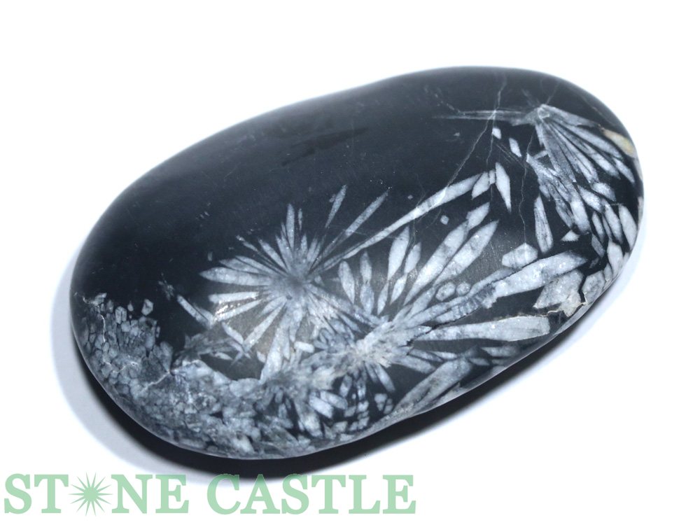 菊花石 オブジェ」の人気商品一覧 | 安い商品を通販サイトから探す