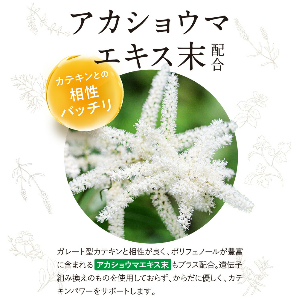 楽天市場】カテキン減脂粒 DMJえがお生活 31日分 日本製 機能性表示