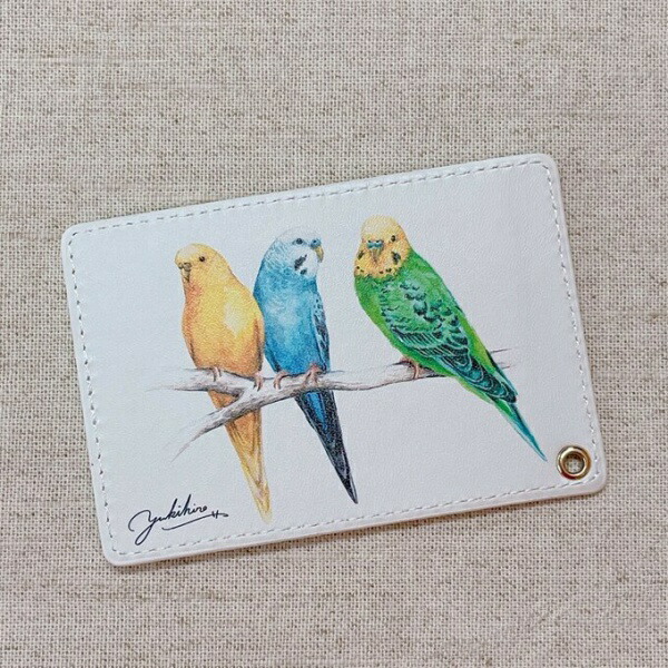 楽天市場】水彩画パスケース セキセイインコ ◇ゆうパケット対応