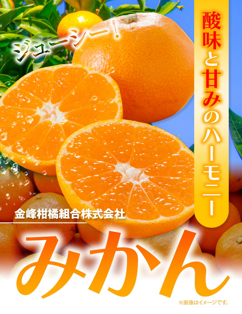楽天市場】【ふるさと納税】みかん 約5kg 10kg (2S-2Lサイズ) 金峰柑橘