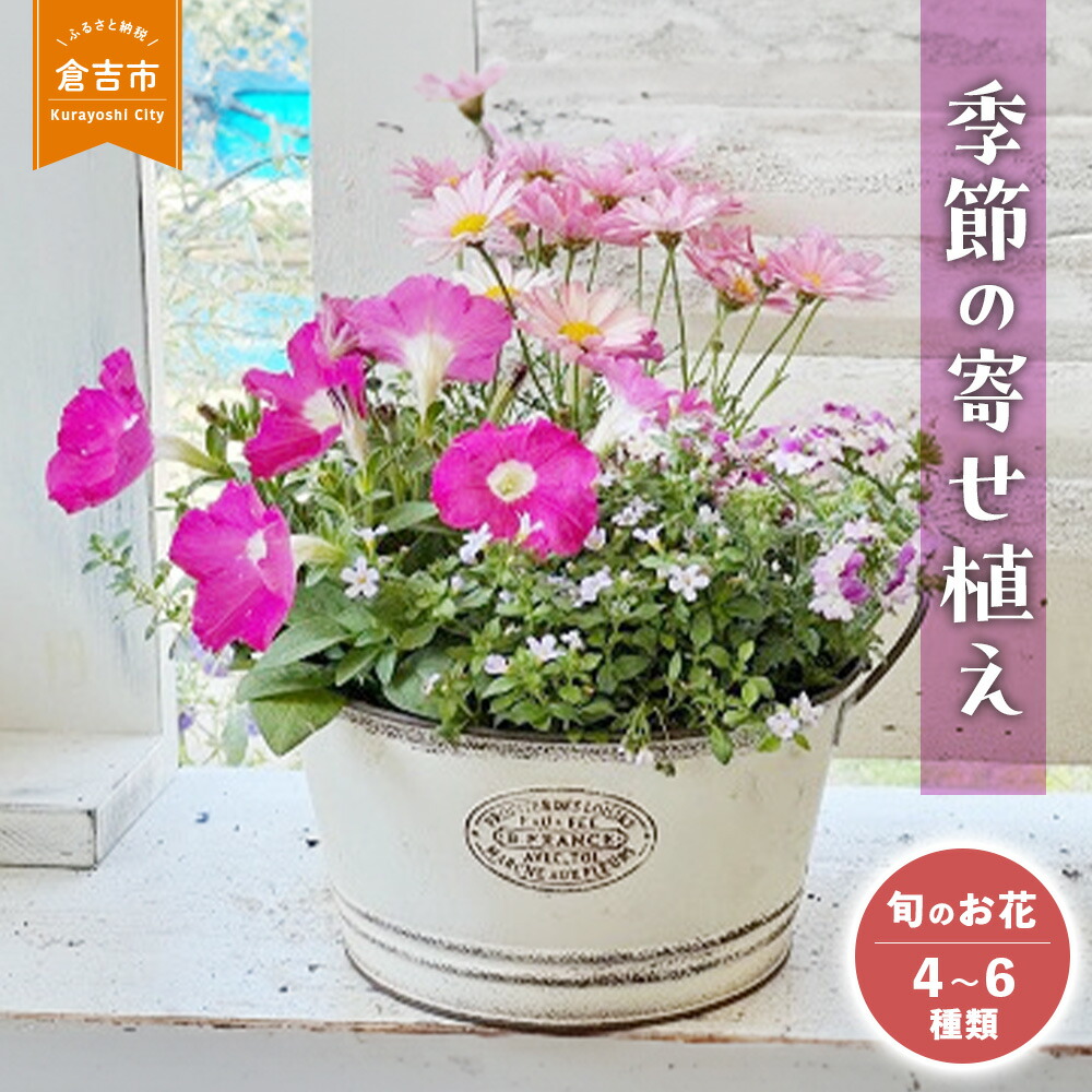 楽天市場】【ふるさと納税】【先行予約】ねんどろいど 山形まり花