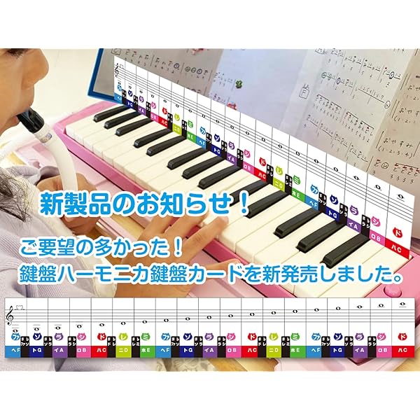 楽天市場】鍵盤カード 4オクターブ 29鍵盤 ピアノ/ト音 ヘ音 音楽