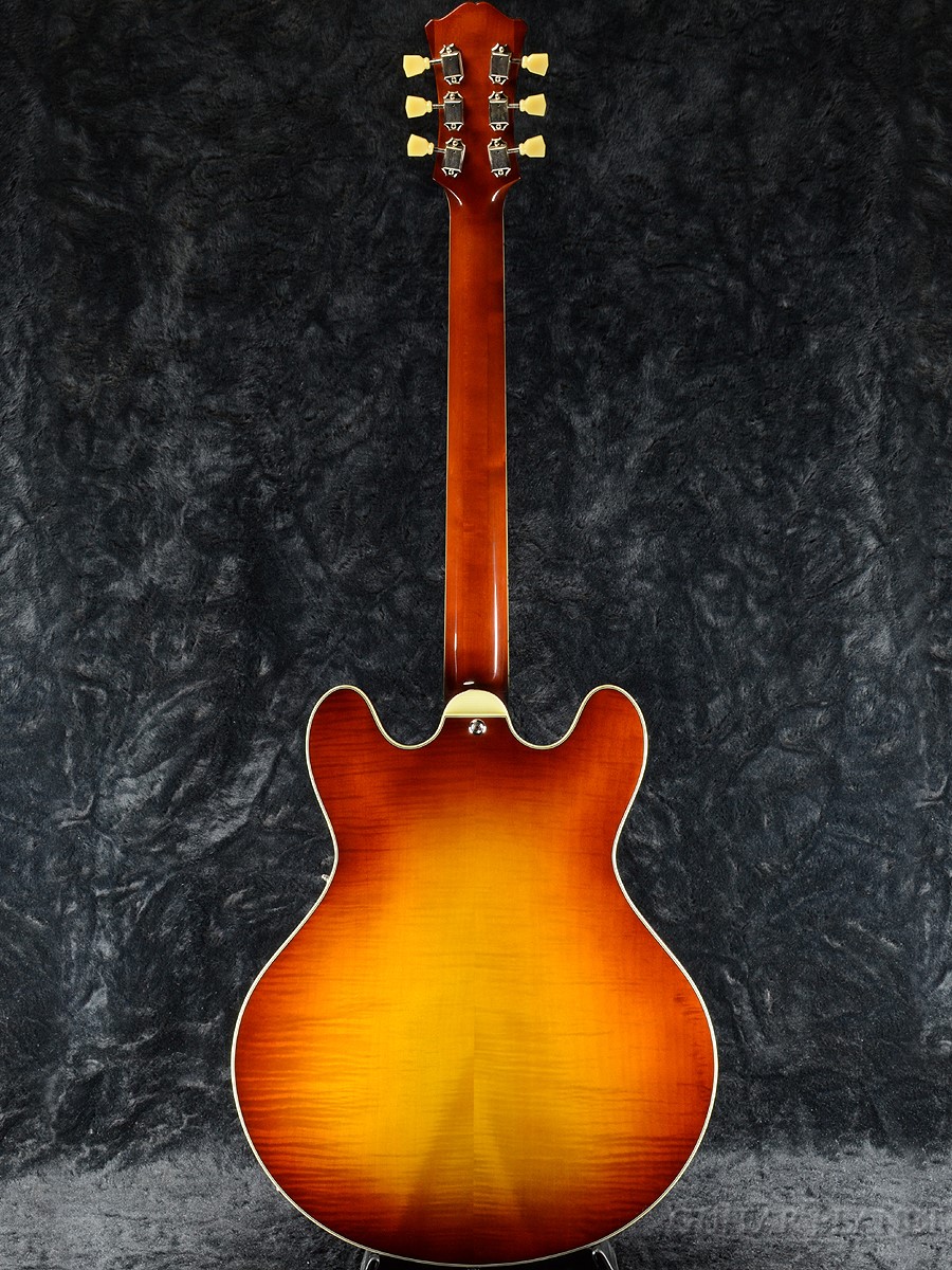 楽天市場】Eastman T486-GB (Goldburst)- 新品[イーストマン][ゴールド