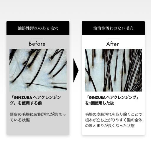 imgrc0082521560.jpg
