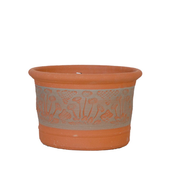 楽天市場】Whichford ウィッチフォード 植木鉢 深型 RHSデイジー