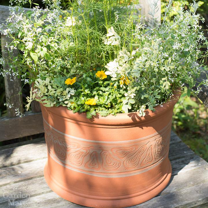 楽天市場】Whichford ウィッチフォード 植木鉢 大型 ペアーポット 直径