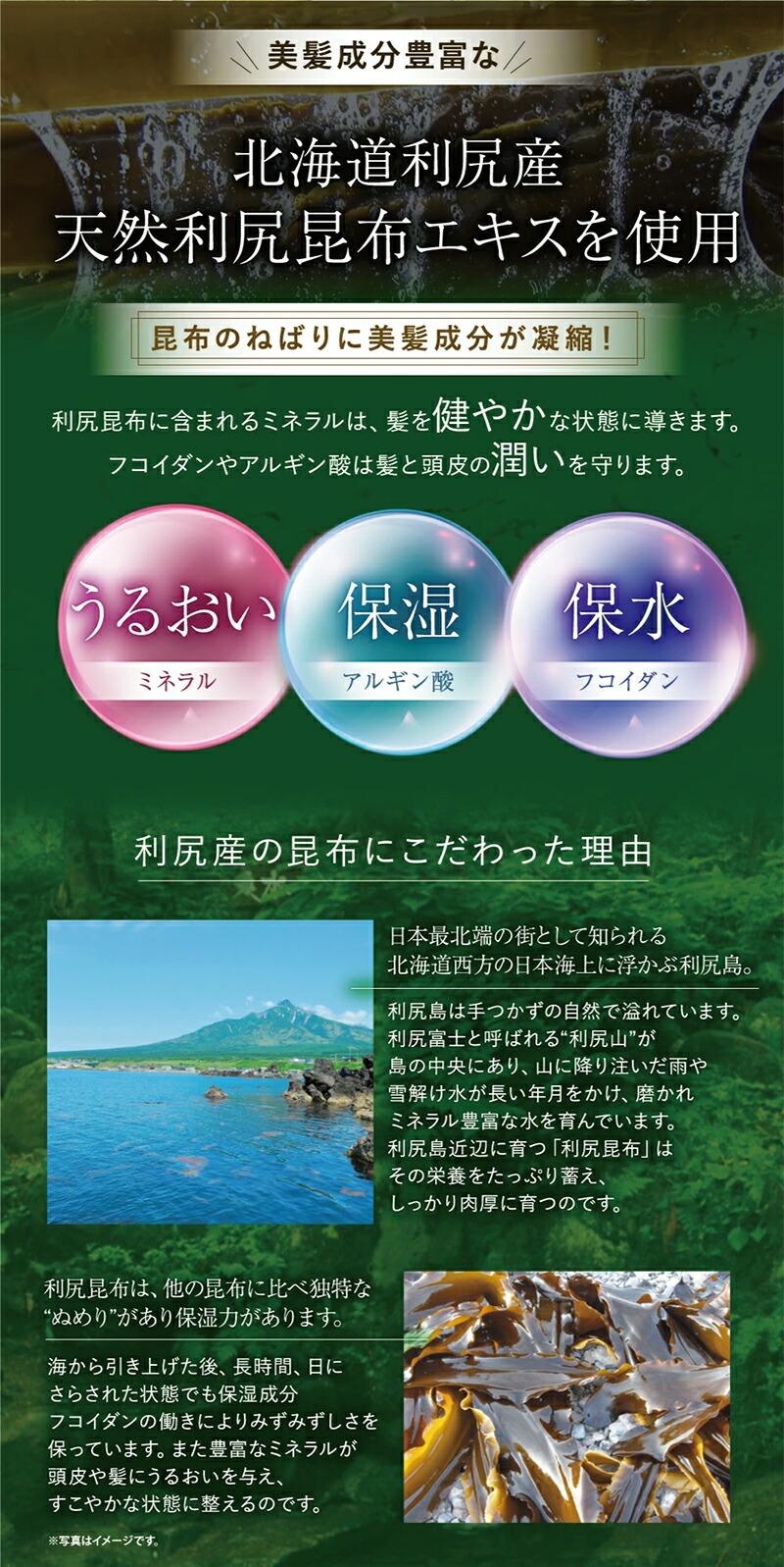 楽天市場】【スーパーSALE限定10%OFF】白髪用 利尻カラーシャンプー