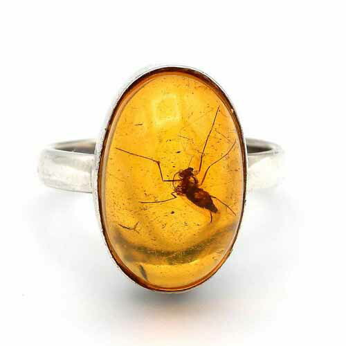 楽天市場】琥珀 リング 指輪 蚊 イエローアンバー ハニーバルト産 虫