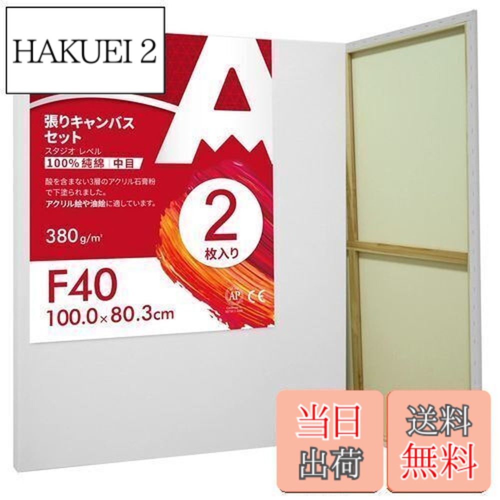 張りキャンバス f40 キャンバス パネル」の人気商品一覧 | 安い商品を
