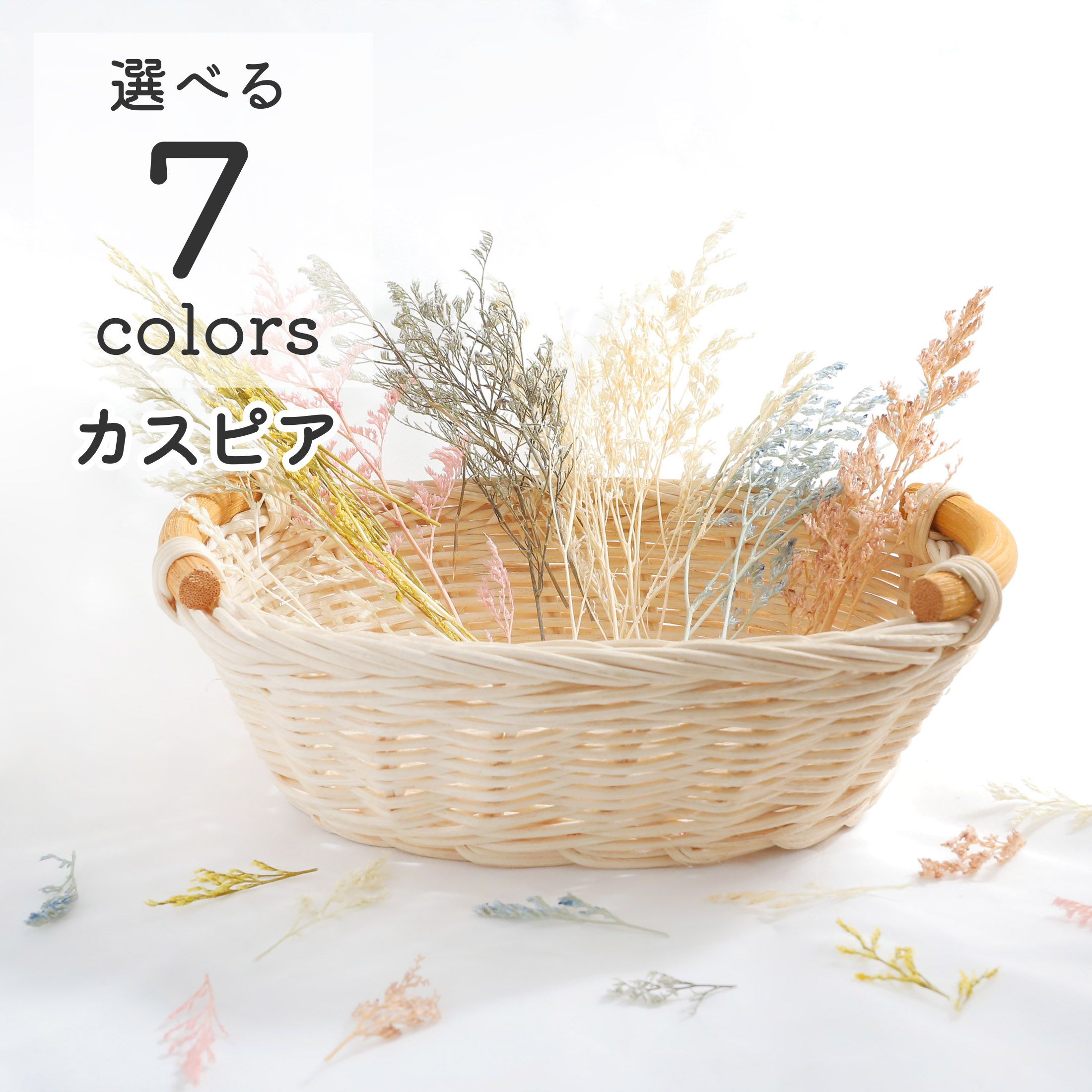 楽天市場】小分け ドライフラワー 花材 「 カスピア 」 レジン封入素材