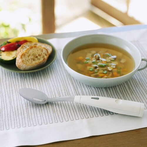 楽天市場】【公式販売】キリンホールディングス エレキソルト スプーン