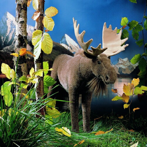 楽天市場】ケーセン ぬいぐるみ Kosen ヘラジカ 44cm Moose 【 エルク
