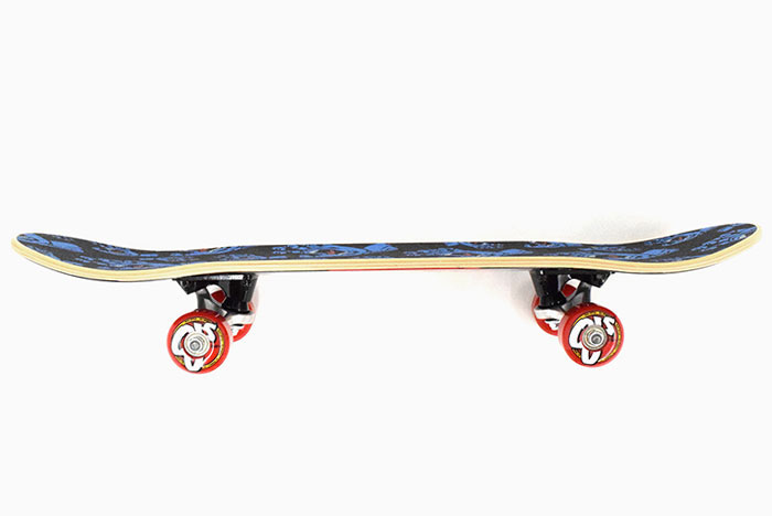 楽天市場】サンタクルーズ SANTA CRUZ スケボー スケートボード