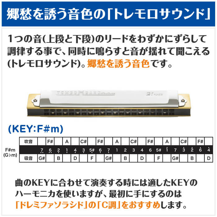 楽天市場】ハーモニカ トンボ No.1521 F#m 特製トンボバンド 21穴