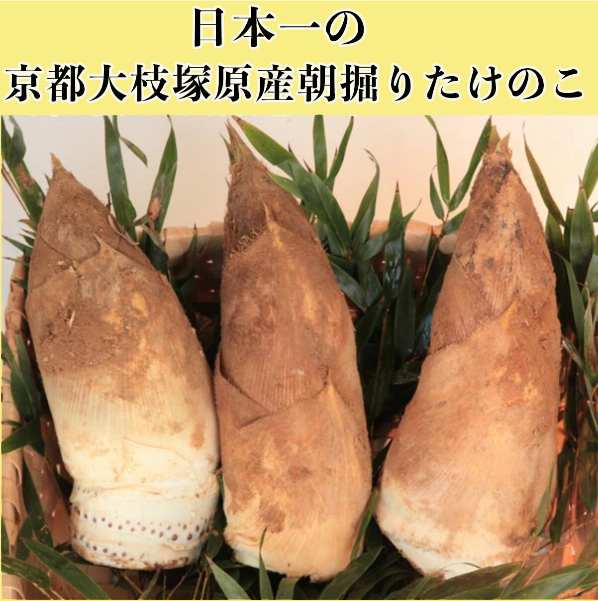 楽天市場】2026年 予約早割 朝堀り当日発送 京たけのこ筍2kg（優品