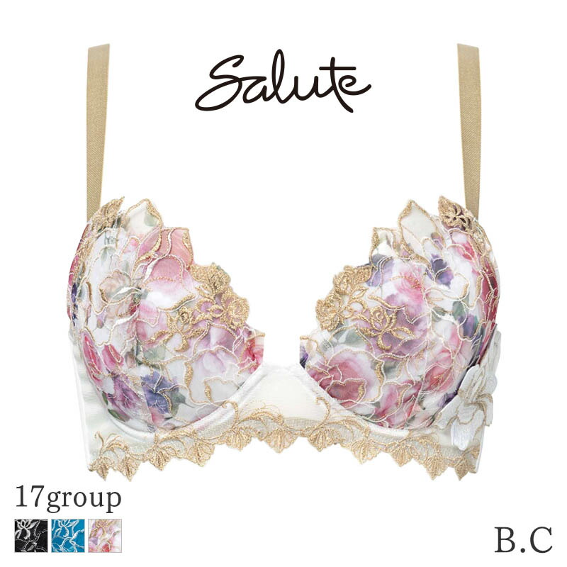 ワコール サルート Salute 03グループ C70 限定価格❗️ ワコール
