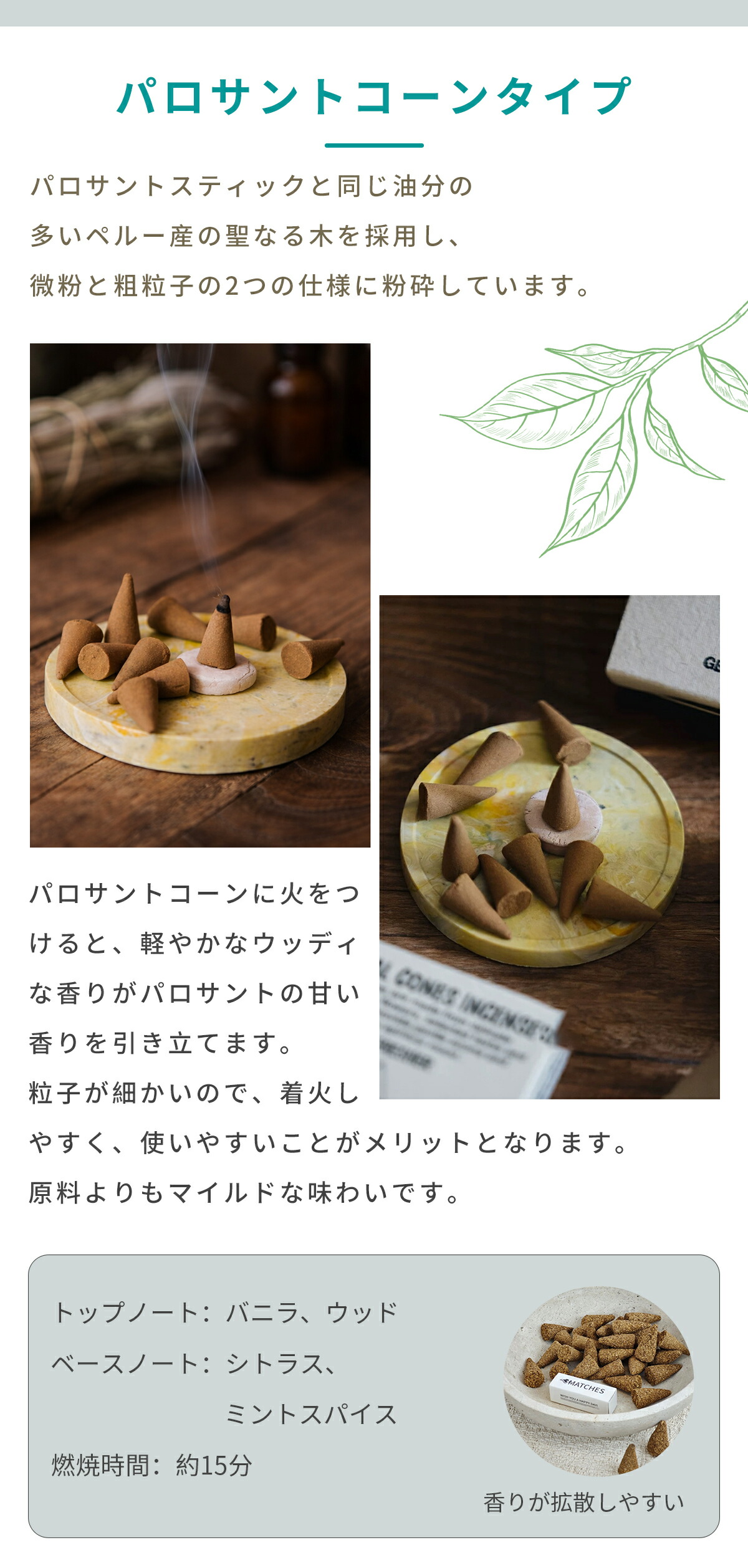 楽天市場】＼SS限定半額／【楽天1位】【鮮度にこだわり毎月入荷