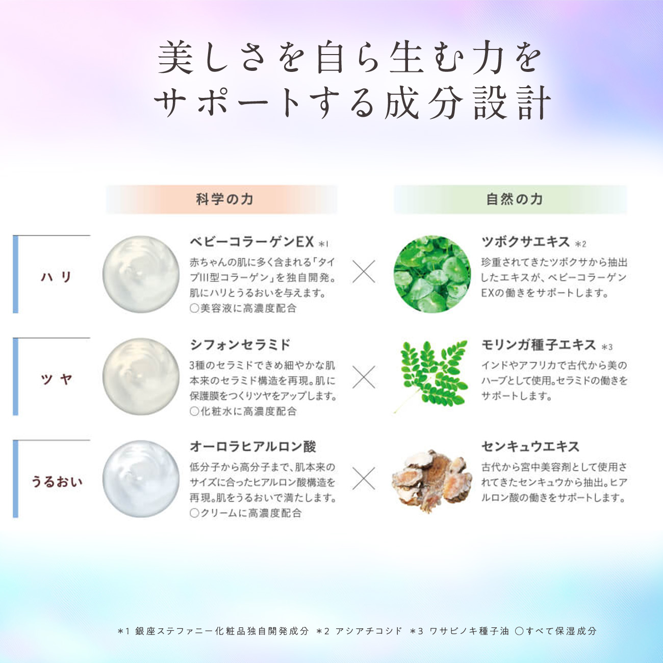 楽天市場】【公式】Suhadabi ブースティングローション / 化粧水 保湿