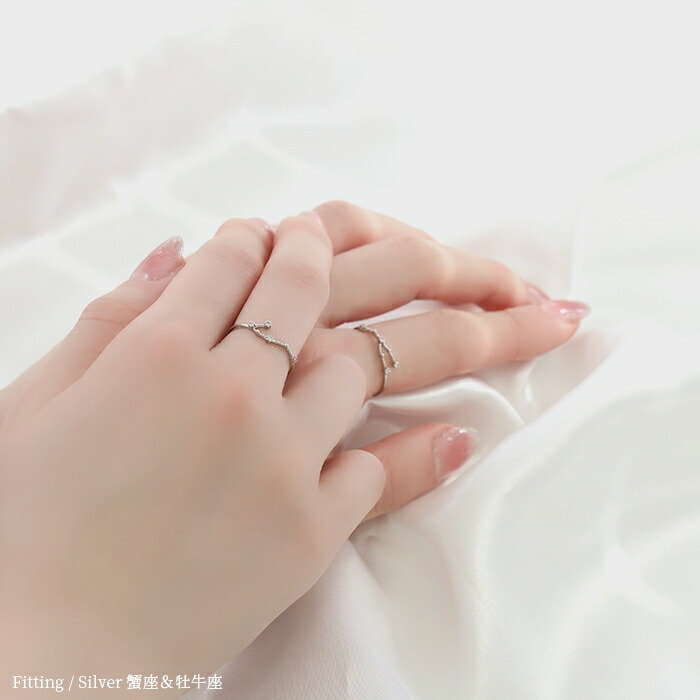 楽天市場】リング 指輪 レディース シルバー ゴールド 金属アレルギー