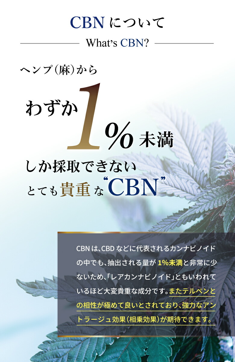 楽天市場】楽天スーパーSAEL【楽天1位】CBNジョイント 5本 1000mg 高