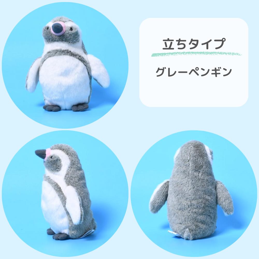 楽天市場】ペンギン ぬいぐるみ 海中散歩 ぽちゃまるシリーズ