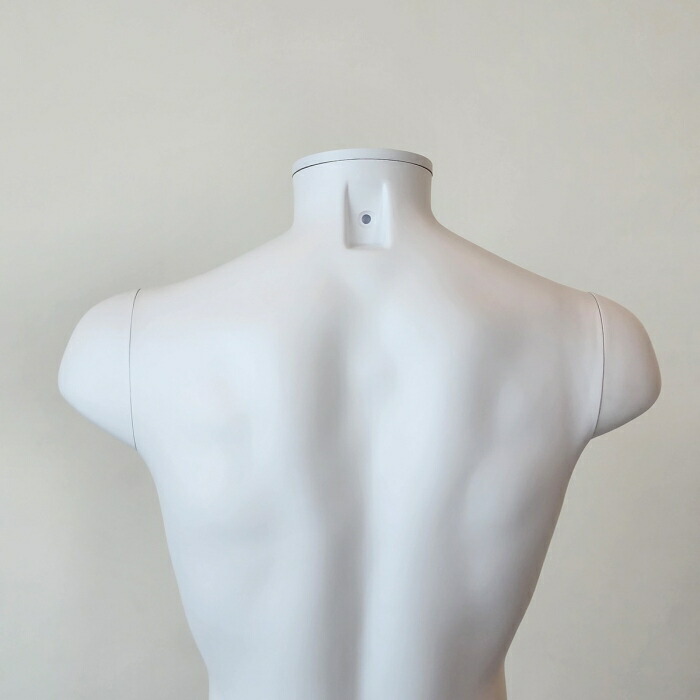 楽天市場】【10%OFFクーポン有り！3月4・5日限り】【業務用】PP製