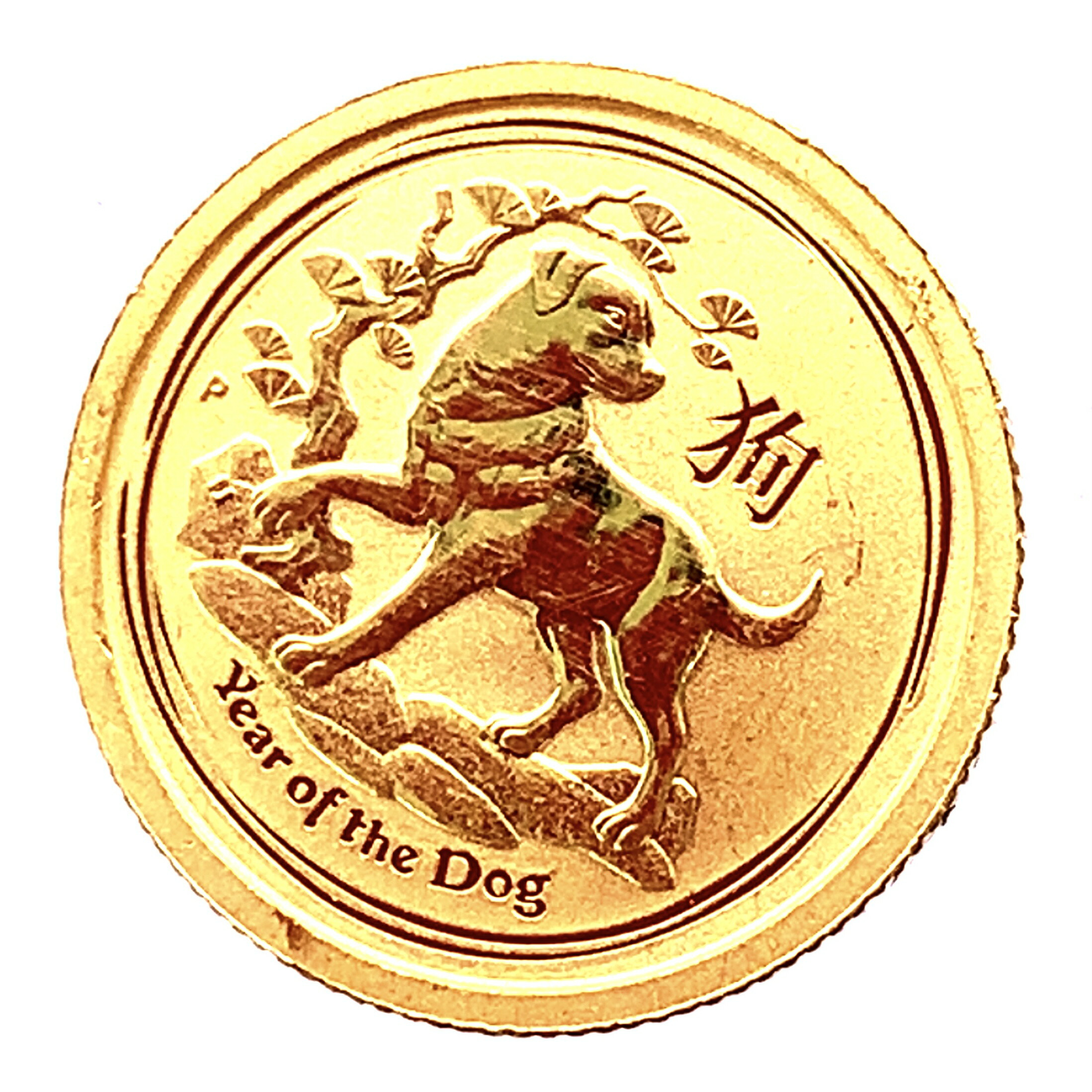 18646.jpg