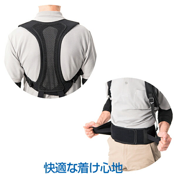 楽天市場】《畜産》メディエイド アシストギア【腰ユニット】上下