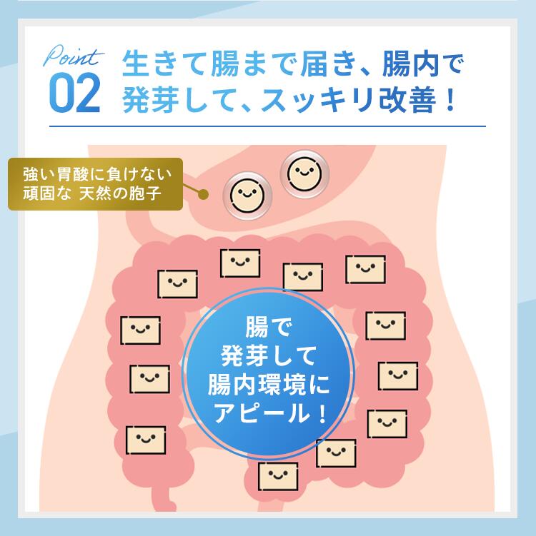 楽天市場】【公式】ラクトロン錠 2袋セット 指定医薬部外品 サプリ