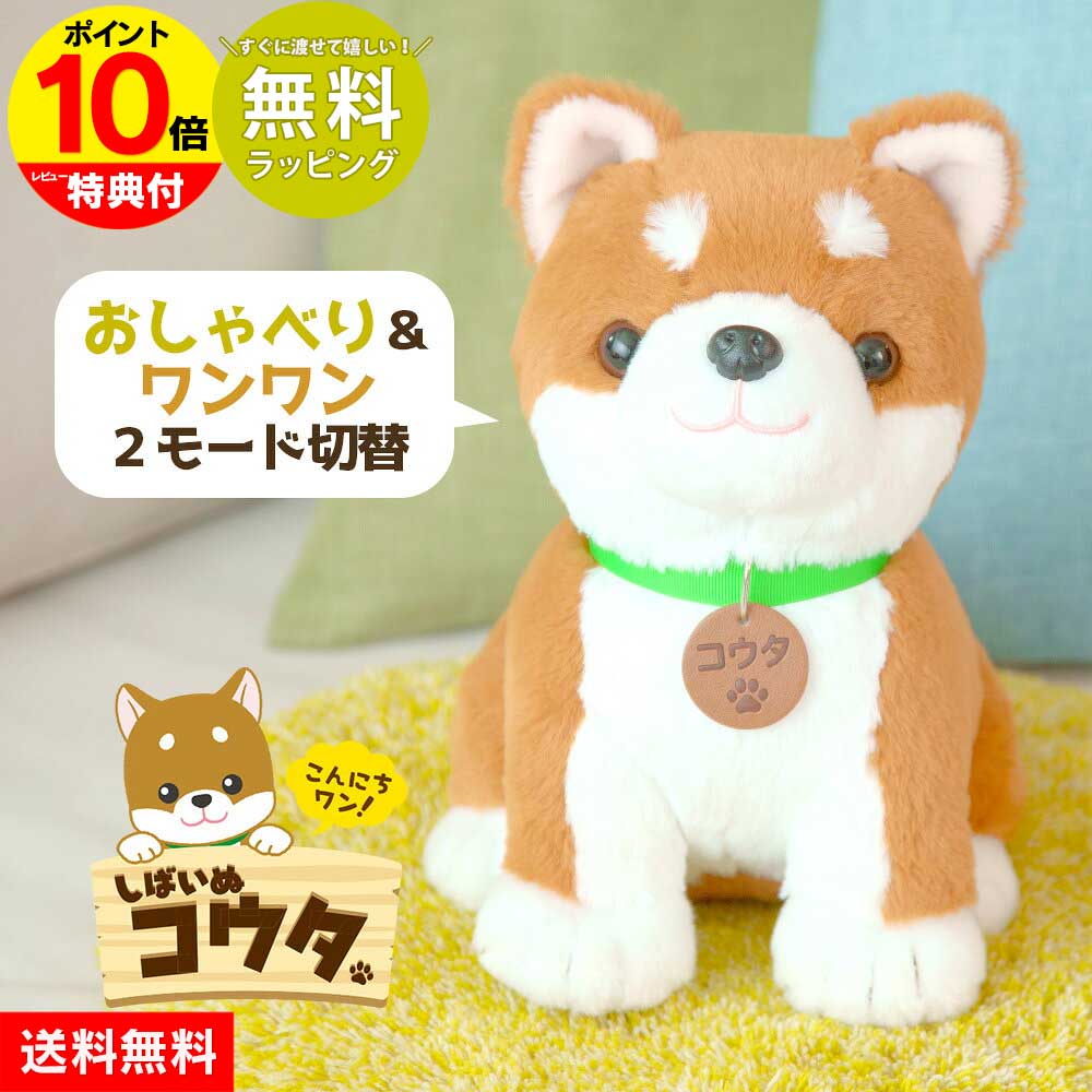 楽天市場】コウタ 柴犬 ぬいぐるみ 犬 しゃべる おもちゃ しばいぬ