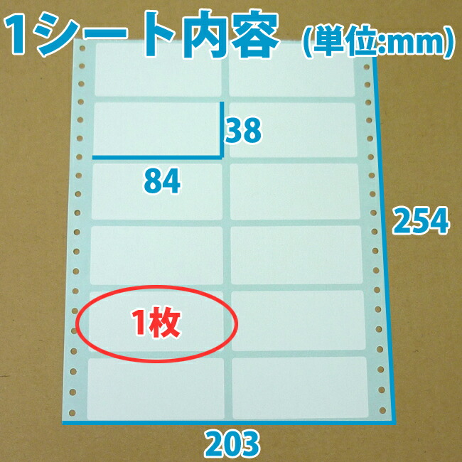 楽天市場】白無地ラベルシール「50シート600枚」 ラベル ステッカー