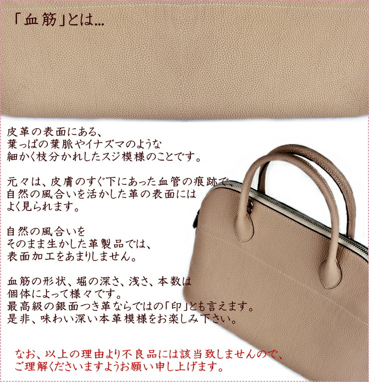 楽天市場】【楽天ランキング第1位】ブガッティ バッグ 31サイズ